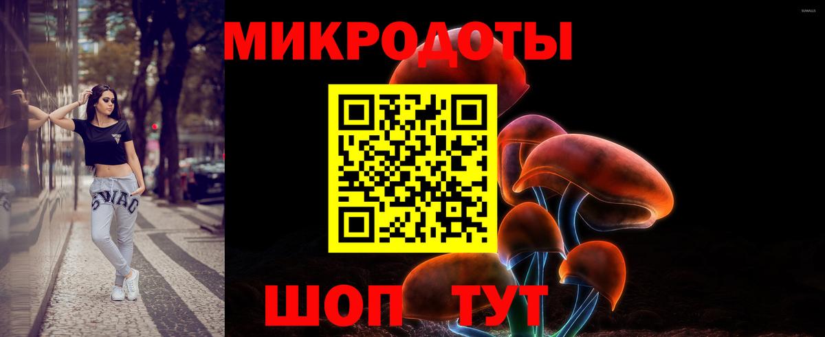 Псилоцибиновые грибы мицелий Асбест